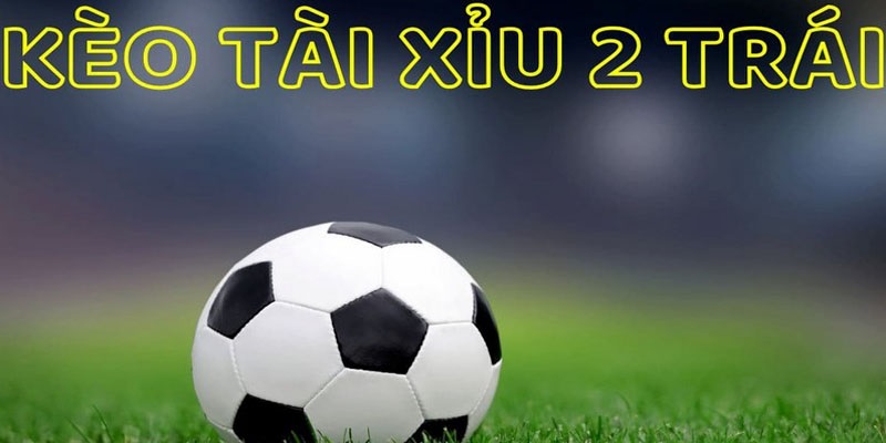 Tài Xỉu 2 Trái Là Sao? nhà cái fun88